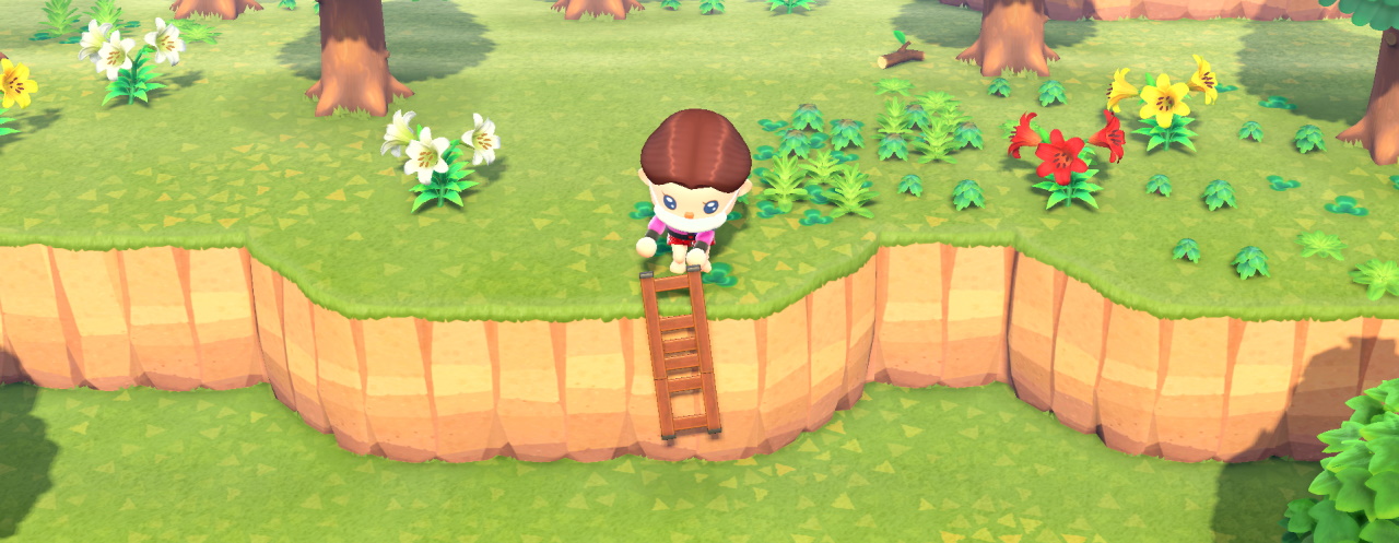 Animal-Crossing-New-Horizons-How-to-get-a-ladder