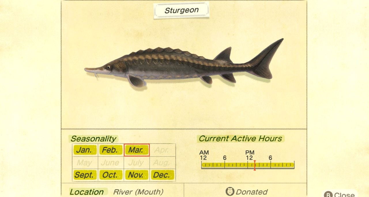 How-to-catch-a-Sturgeon-in-Animal-Crossing-New-Horizons